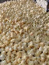 IMG_20260425_174336.jpg.webp