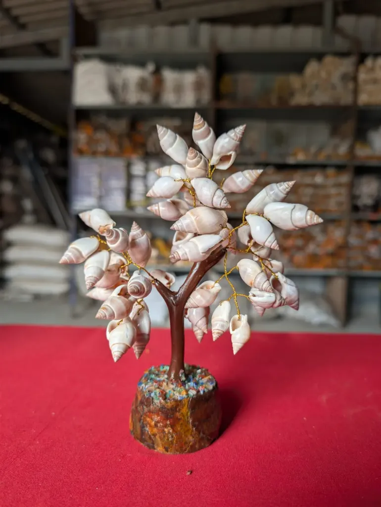 SHANKH TREE