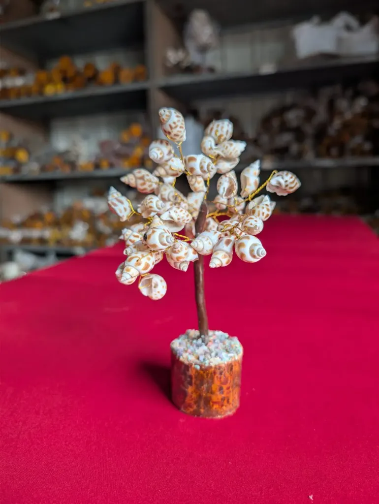 FOREIGN PARAMOTA TREE