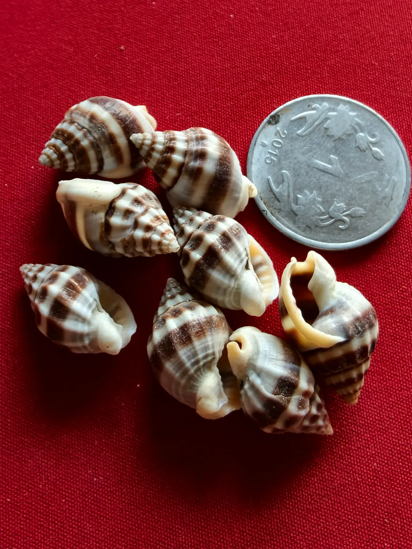KAKA MUKU